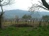anteprima foto 6 Villa Vendita Montecchia Di Crosara