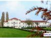 anteprima foto 1 Villa Vendita Noventa Di Piave