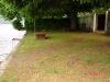 anteprima foto 8 Villa Vendita Pettenasco