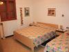 anteprima foto 6 Villa Vendita Poppi