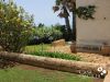 anteprima foto 5 Villa Vendita Ragusa
