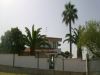 Villa Vendita Ricadi 