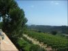 anteprima foto 2 Villa Vendita Ripatransone