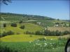 anteprima foto 4 Villa Vendita Ripatransone