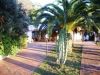 anteprima foto 3 Villa Vendita Saponara