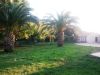 anteprima foto 4 Villa Vendita Saponara