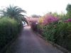 anteprima foto 8 Villa Vendita Saponara