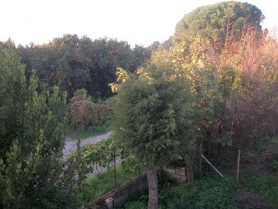 foto Villa Vendita Simeri Crichi