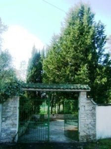 foto Villa Vendita Torre Santa Susanna