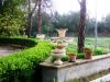 anteprima foto 8 Villa Vendita Torre Santa Susanna