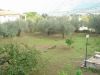 anteprima foto 10 Villa Vendita Torretta