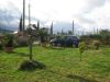 anteprima foto 5 Villetta a schiera Vendita Ceraso