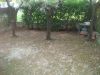 anteprima foto 10 Villetta a schiera Vendita Mergo