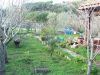 Villetta a schiera Vendita Pollina 