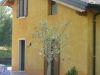 anteprima foto 4 Villetta a schiera Vendita Ponti Sul Mincio
