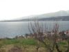 anteprima foto 3 Villetta a schiera Vendita Staletti