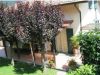 anteprima foto 1 Villetta a schiera Vendita Zeri