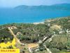   Capoliveri