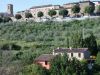 Rustico / Casale Vendita Bettona 