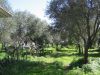 Terreno Vendita Palmi 