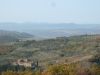 Rustico / Casale Vendita Seggiano 