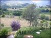 anteprima foto 9 Immobile Vendita Civitella Del Tronto