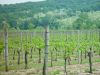 anteprima foto 2 Immobile Vendita Corno Di Rosazzo