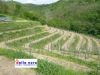 anteprima foto 9 Immobile Vendita Corno Di Rosazzo