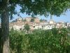 anteprima foto 2 Immobile Vendita Frassinello Monferrato