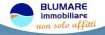 Blumare Immobiliare