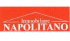 Logo agenzia IMMOBILIARE NAPOLITANO