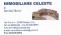 Immobiliare Celeste