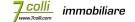 7 colli immobiliare srl