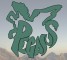 Pegasus s.r.l.