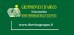 Gruppoinvest D'Amico