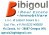 BIBIGOUL IMMOBILIARE snc
