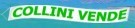 COLLINI VENDE di Collini Mario