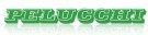 Pelucchi srl