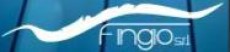 FINGIO srl 
