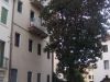 Attico a Vicenza a 900€ al mese