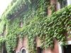 Appartamento Bilocale a Roma a 1600€ al mese
