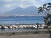Ufficio a Napoli a 600€ al mese