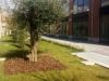 Ufficio a Montecorvino Pugliano a 490€ al mese