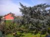 Appartamento a Pieve a Nievole a 650€ al mese