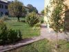 Appartamento a Misano di Gera d'Adda a 550€ al mese
