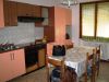 Appartamento Quadrilocale a Collesalvetti a 600€ al mese